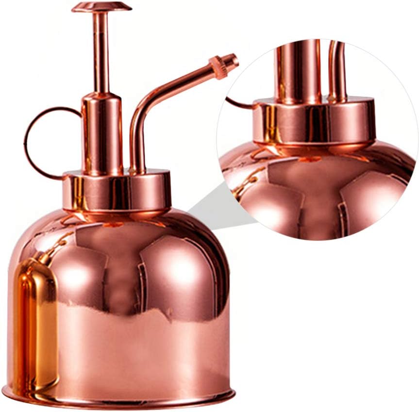 1pc Stainless Steel Watering Can Plant Spray Bottles Watering Cans with Pump Vintage Plant Spritzers with Pump Succulent