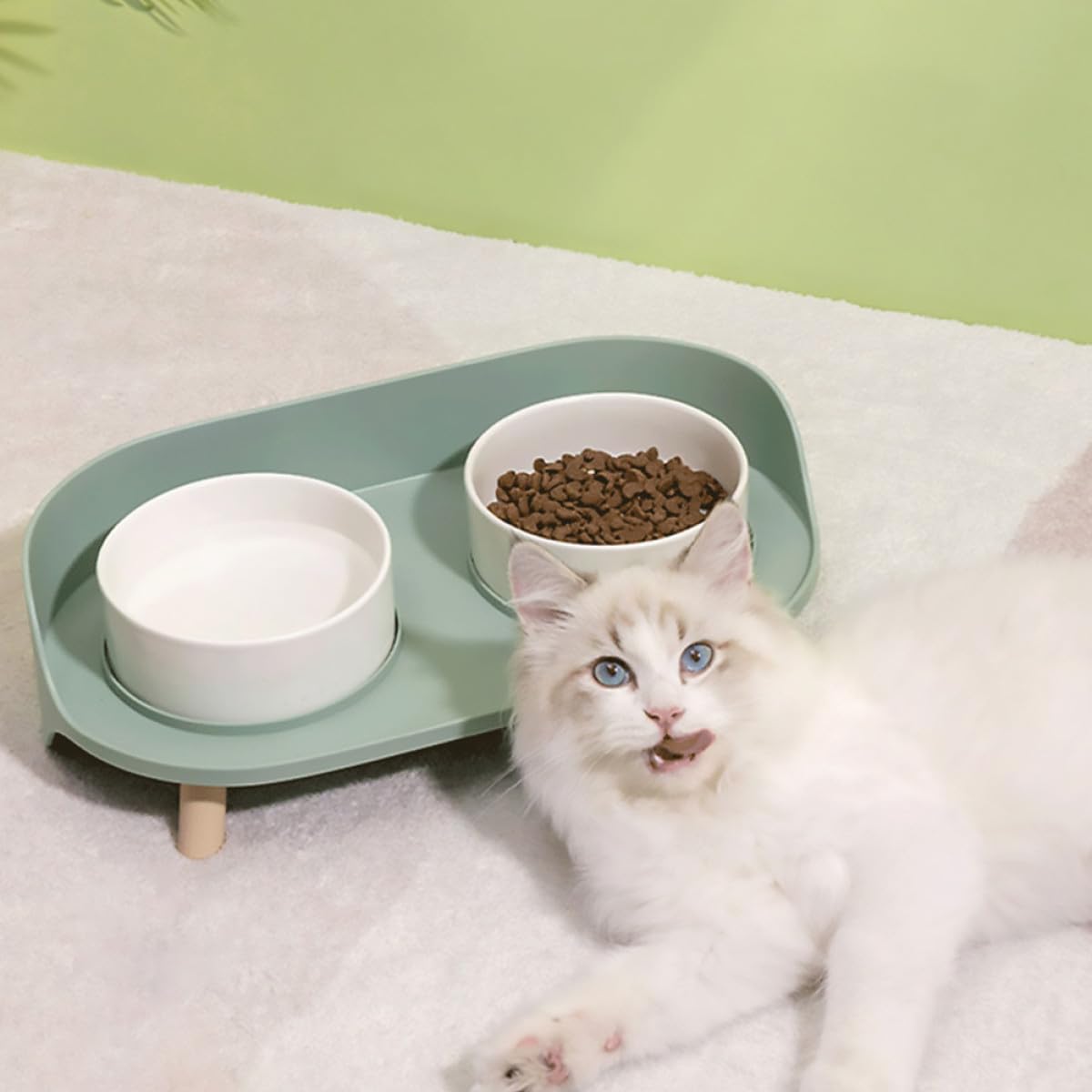 Toddmomy 1pieza Comedero De Cerámica para Gatos Altura Doble Tazón Antivuelco Color Verde Menta para Alimentación Segura y Cómoda De Mascotas