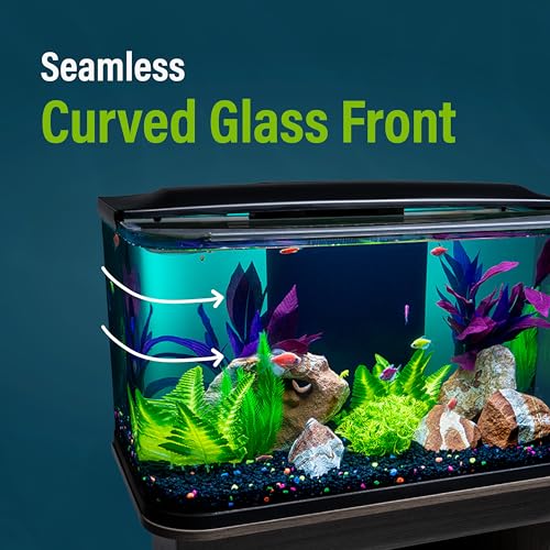 GloFish Glass Aquarium Kit, 20 Gallons, Includes Premium Blue, LED Light Stick & Integrated Filtration, Perfect for Beginners or Seasoned Hobbyists, Seamless, Curved Design - Image 6