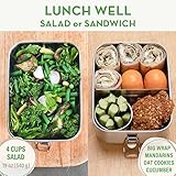 Country Trading Co. Stainless Steel Lunch Box with Bag | Removable Bento Divider | Leak Proof Lid | Container for Salads, Snacks, Leftovers | Plus Lunch Box Ideas Recipe Book | Medium Size - Image 4