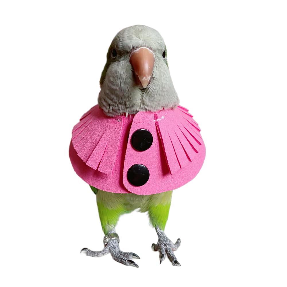 Parrot Cone Collar, Safe and Practical Cotton Collar to Prevent Bites and Licking Wounds, to Help heal (4XL)
