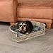UNUS Hundebett Hundekorb Hundekörbchen aus Weide mit Kissen S für Hunde und Katzen grau 61 x 44,5 x 15,5 cm