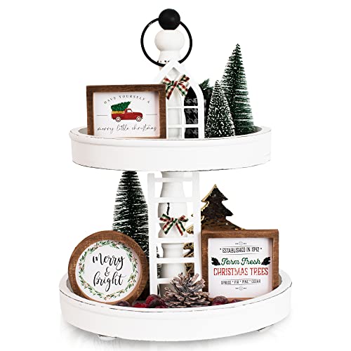 The Ultimate Farmhouse Christmas Tiered Tray Decor Set - Beautiful Year Round Seasonal & Halloween Holiday Decoration