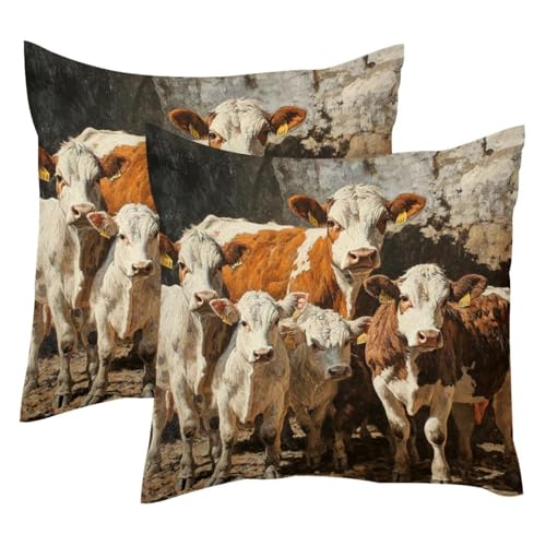 Fundas de cojín 50x50 terciopelo suave decorativas para almohada de sofá 2