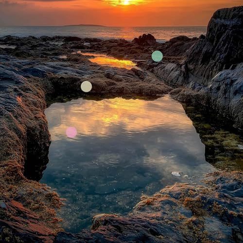 Rock Pools Filling at High Tide Podcast Por  arte de portada