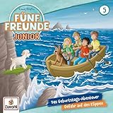 Cover zum Buch Das Geburtstags-Abenteuer / Gefahr au...