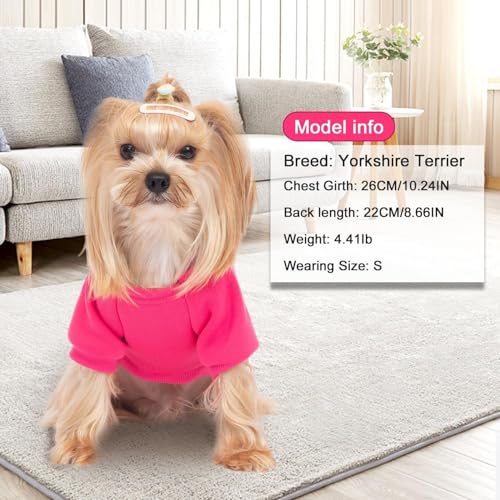 Image of 2 Pack Dog Hoodie Warm Hood Dog Sweater Cold Weather Small Dogs Sweatshirt Comfort Pet Clothes for Small Medium Dogs with Pockets Cats Chihuahua Clothes for Male Female Girl Boy Sporty Daily Wear