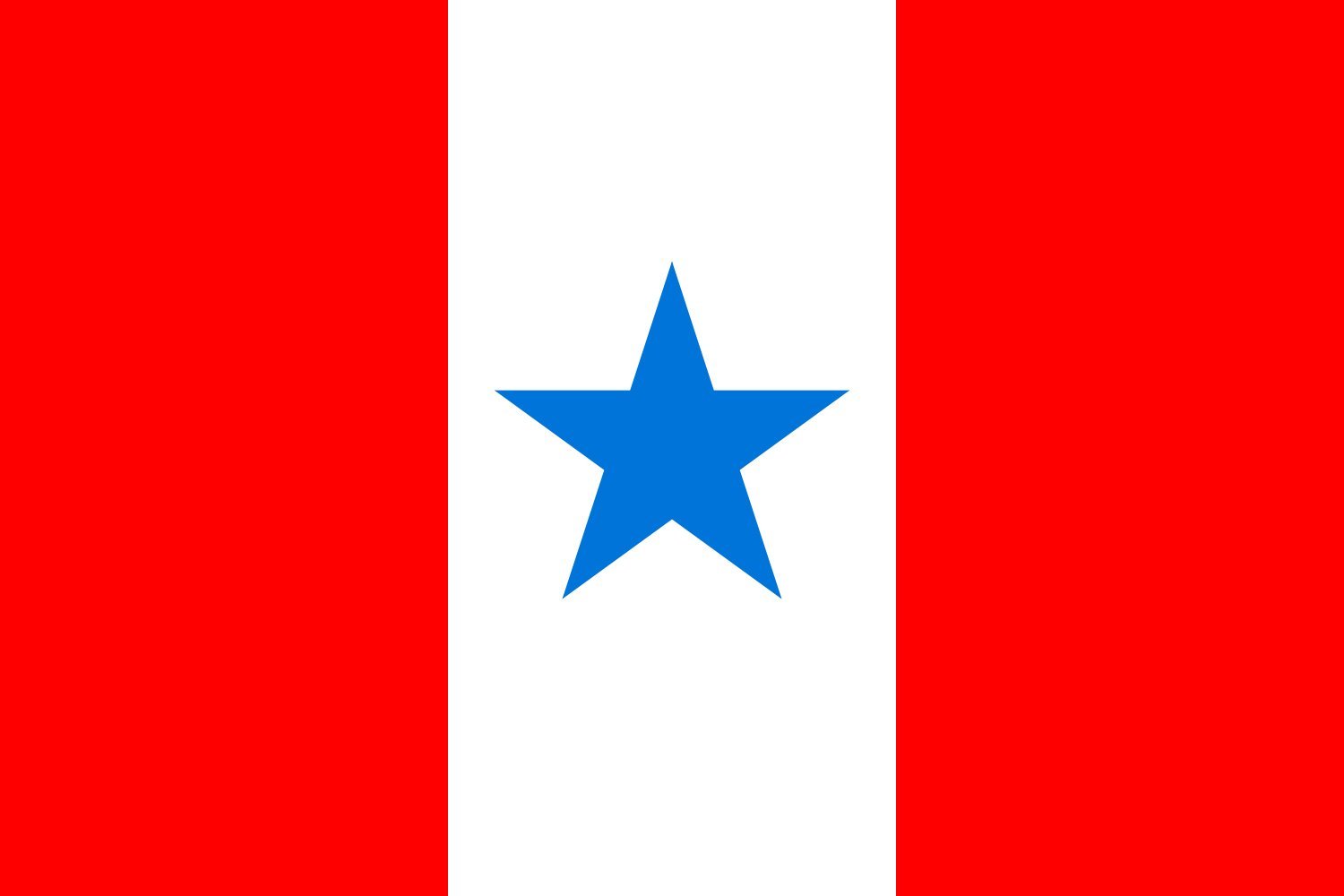 Drapeau Pará grande taille variante pour cérémonies et salons officiels
