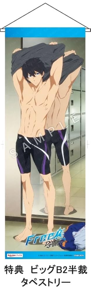 Free!-Dive to the Future-  DVD BOX付き Free!-Dive to the Future- DVD BOX付き