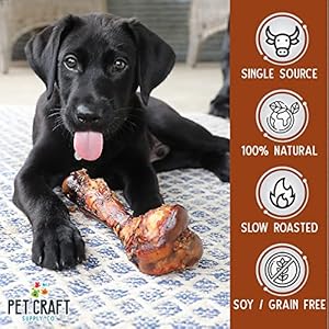   Pet-Craft-Supply-ALL-Natural-Healthy-Pork-Femur-Bones-Dog-Chews-Treats-for-Medium-Tough-Chewers-Long-Lasting-Rawhide-Free-Made-in-USA-Premium-Grade-Slow-Roasted-High-Protein-Best-for-Medium-Sized-Dogs