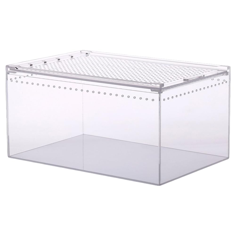 Aquarium pour petits animaux Yardwe idéal pour bureau et salon