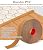 3 in Extra Wide Floor Transition Strip Doorways, Self Adhesive Threshold Gap Cover Strip Wood Grain Design, Vinyl Laminate Flooring Joint Transition Trim(Wood Grain 4,L5m/16.4ft)