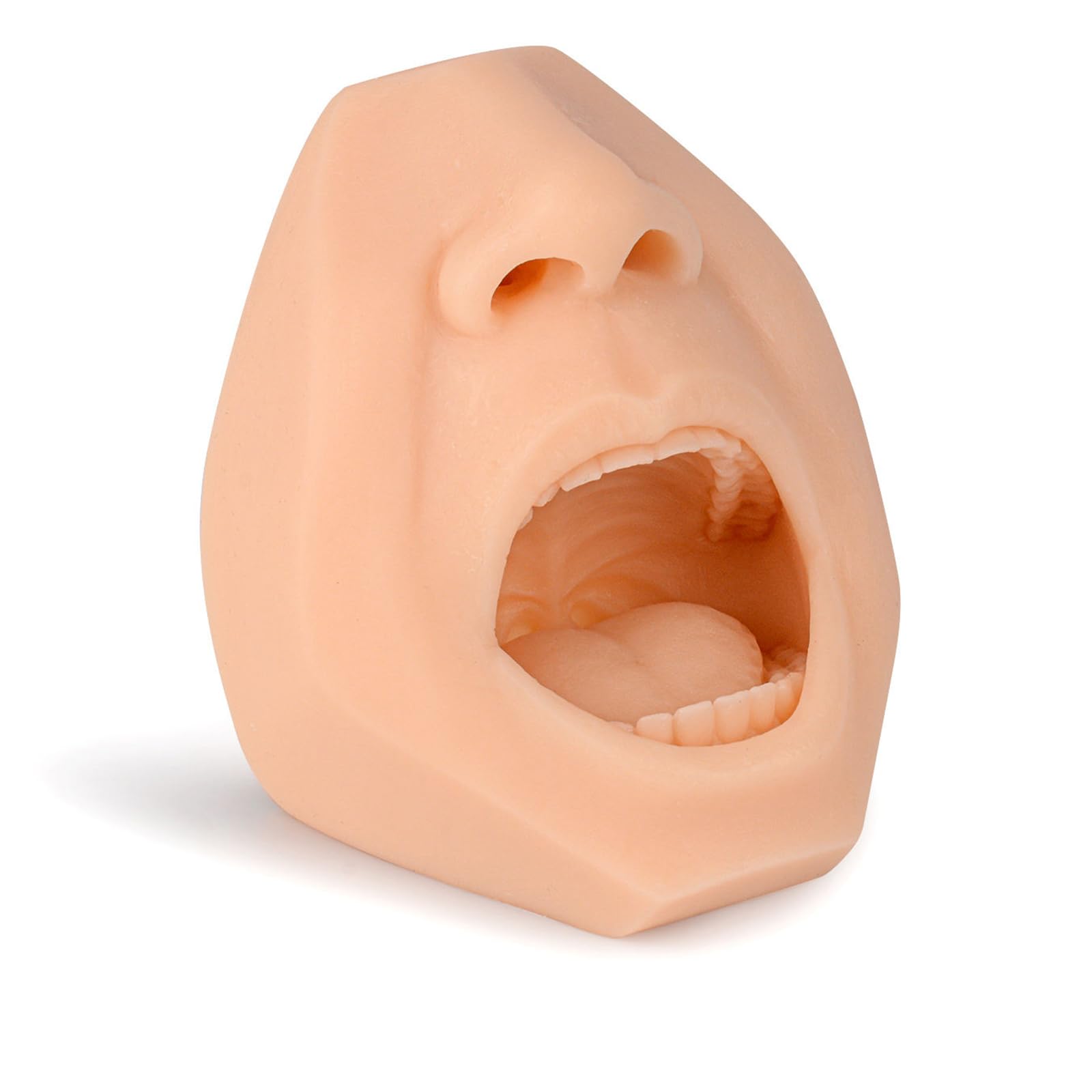 Yrqmgsf Flesh Swab Collection Simulator - Throat Swab Test Training Model - Swab Specimen Collection Anatomical Test Training Model