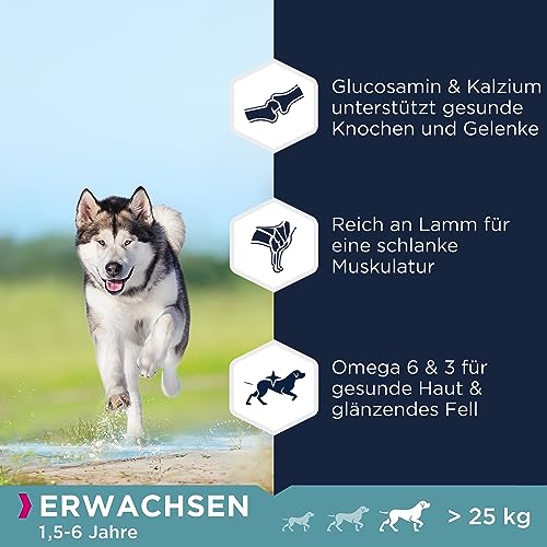 Eukanuba Hundefutter getreidefrei mit Lamm für große Rassen - Trockenfutter für ausgewachsene Hunde, 3 kg