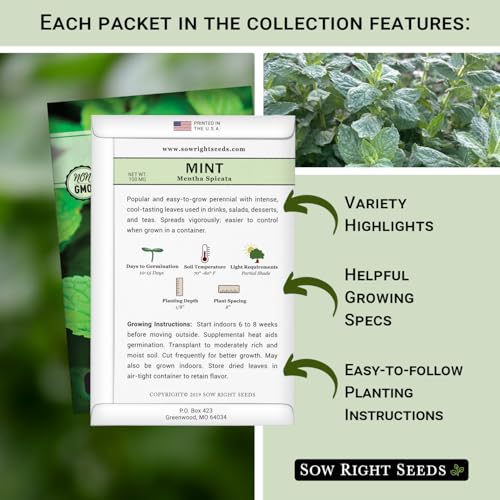 Sow Right Seeds - Mint and Peppermint Seeds Collection for Planting - Non-GMO Heirloom with Instructions to Grow an Herb Garden Indoors or Outdoors - Great Hydroponics Variety - Gardening Gift - Image 2