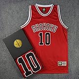 [JAYANPOO]日本 アニメ 桜木背番号10 バスケットボール ユニフォーム スポーツ トレーニング ユニフォーム バスケットボールゲーム ベスト チアリーダー服 通気性 速乾性 アスリート服 (赤2XL)