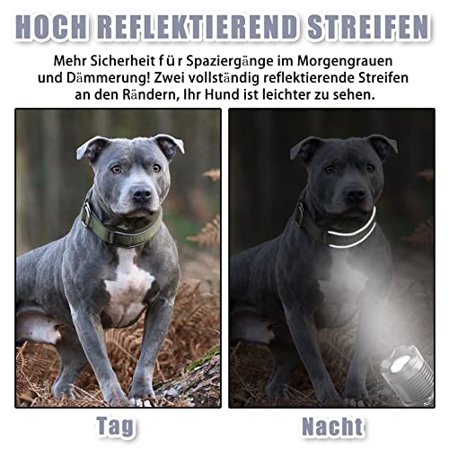 Weich Neopren Gepolstert Hundehalsband (4cm Breite) Reflektierend Hund Halsband mit Robust Nylon & Zugstopp, Bequem Zughalsband Dressurhalsband für Kleine Mittlere Große Hunde Anti-Zug Walken M,Grau