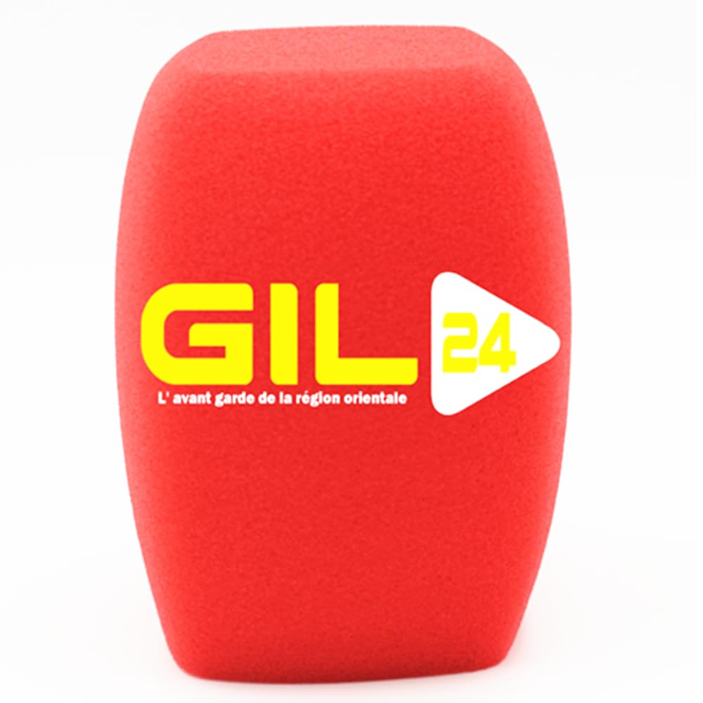 5 Pcs Mic espuma cubre parabrisas con el logotipo impreso personalizar logotipo para parabrisas de espuma de micrófono (rojo)