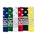 6 Color Pack Double Sided Print - Pack Of 6 Assorted Color Classic Paisley Bandanas