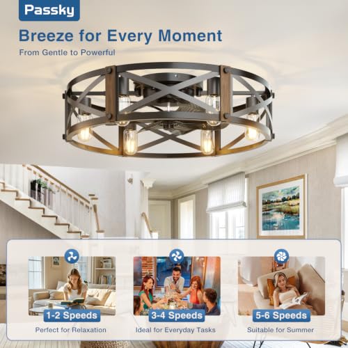 Image of Passky 24 inch Caged Ceiling Fans with Lights and Remote, Low Profile Fandelier