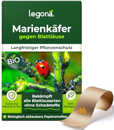 Legona Marienkäferlarven gegen Blattläuse | 100 Marienkäfer-Eier für 10 m | Marienkäfer Larven | Marienkäfereier | Blattläuse bekämpfen