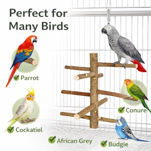 Image of KSK Natural Wooden Parrot Stand & Bird Perch - Tree Style Bird Perch for Cage & Table Top | Strong Natural Wood Training Perch for Parrots, Cockatiels, Conures, African Grey, Budgies & Medium Birds