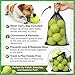 Big Game Hunters Hunde-Tennisball, doppelt stark, unzerstörbar, ideal für Aggressive Kauer, 20 Stück