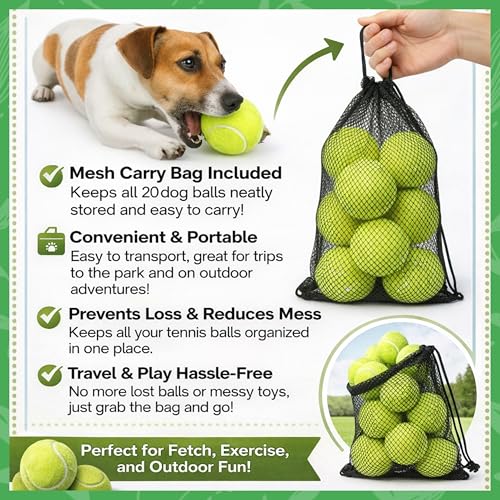 Big Game Hunters Hunde-Tennisball, doppelt stark, unzerstörbar, ideal für Aggressive Kauer, 20 Stück
