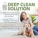 Amaziing Solutions Pet Stain and Odor Remover - Enzyme Cleaner, Pet Urine Odor Eliminator Refill - Floor & Carpet Cleaner, Pet Deodorizers For Home, Fabric Freshener W/Fresh, Clean Scent, 1 Gallon