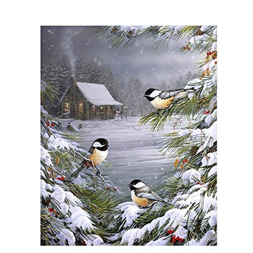 MAGICXYZ DIY Peinture Peinture par Numero Pie d'hiver 40x50cm Cadeau de Peinture à l'huile de pour Enfants Adultes Home Decor Cover
