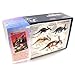Beasts of the Mesozoic: Medusaceratops Lokii (Fan's Choice) - 1/18th Scale Dinosaur Action Figure -12