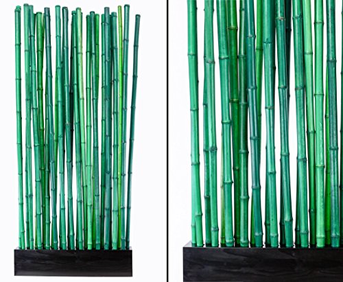 Bambus Sichtschutzelement - Die preiswertesten Varianten ausführlich