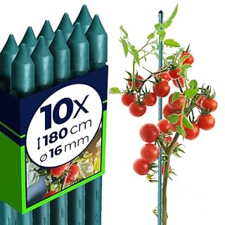 KADAX tuteurs tomates acier plastifié 180 cm, lot de 10
