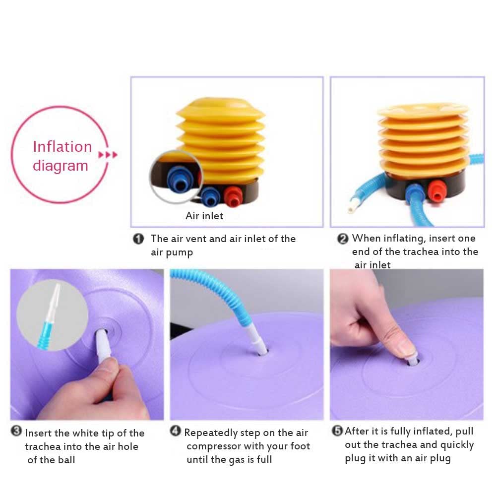 Balle de yoga de chèvre - Jouet d'entraînement anti-éclatement avec pompe de gonflage pour chèvre et agneau - 55,9 cm - Violet