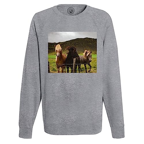 Sweatshirt Homme Chevaux symbole de liberté et d'amour des prés verts
