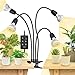 Produktbild SANSI LED Pflanzenlampe für Zimmerpflanzen, 600W Vollspektrum 4-Kopf Clip On Pflanzenlicht mit Timer 4/8/12 Stunden, 360° Schwanenhals, Wachstumlampe mit hoher PPFD für Indoor Pflanzenwachstum