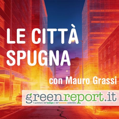 Le citt&agrave; spugna cover art