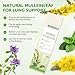 Herbal Diffuser Pen with Mullein, Thyme, Mint Extracts for Lung Cleasing Breathing, Relaxation, Stress Relief, 600 Uses (Acrylic, 2)