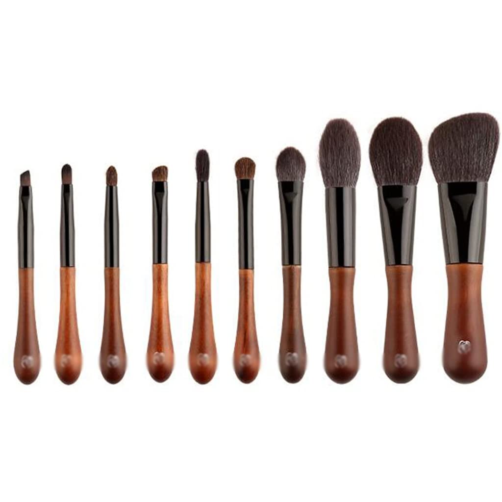 10 Makeup Brush Sets Animal Hair Brushes For Professional Artists
