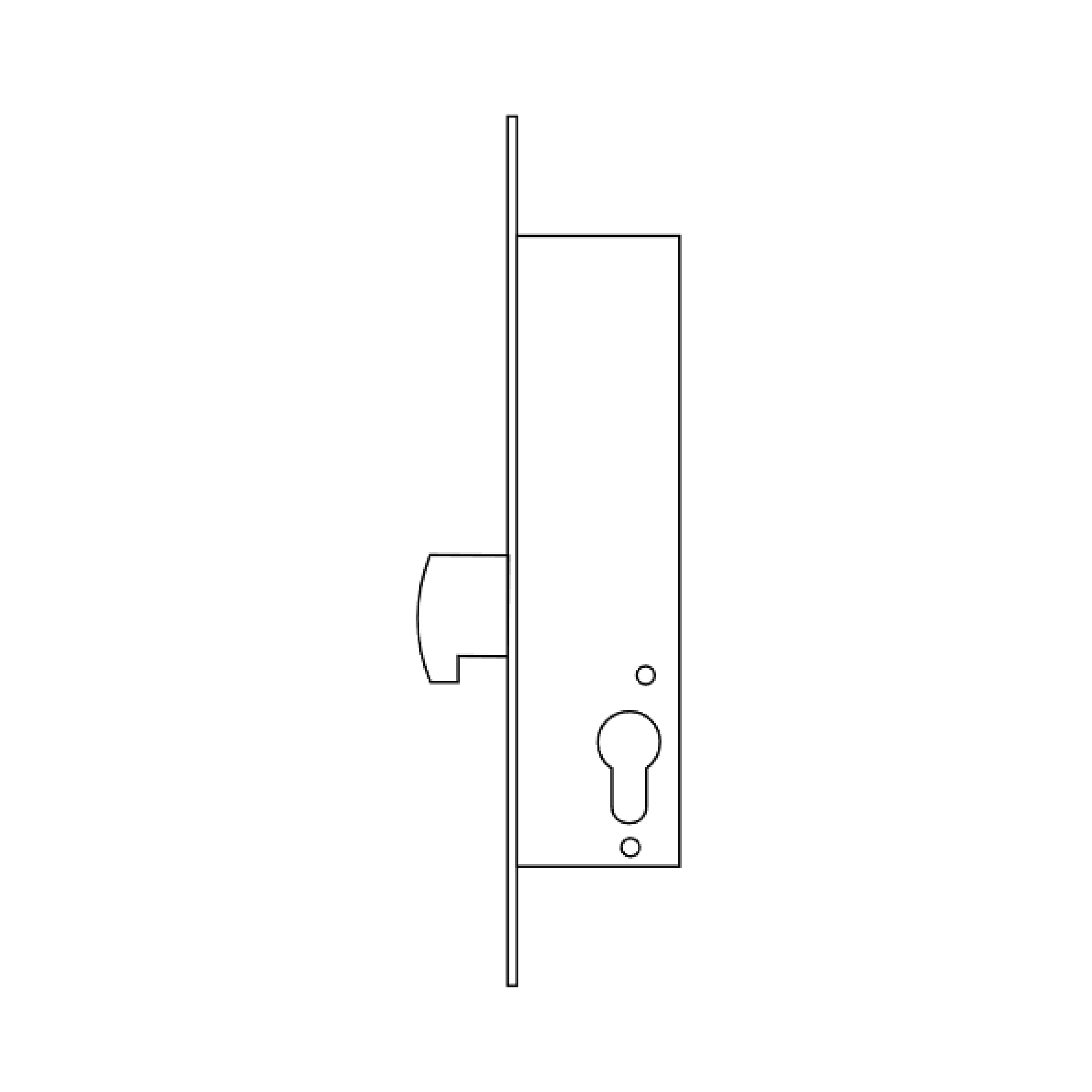 TESA 4241203AI cerradura monopunto de palanca basculante 2241, entrada 20 mm, acero inoxidable, sin cilindro, compatible con cilindro de leva corta, incluye cerradero y escudo E210