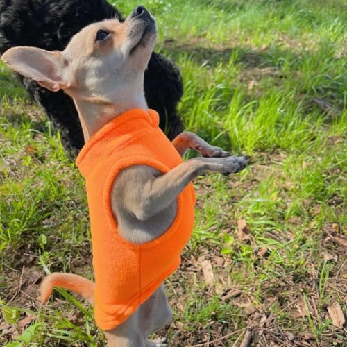 Image of JACKO & CO - Fleece Vest Dog Sweater with Leash Ring - Soft, Warm & Lightweight Pullover Coat for Small & Medium Dogs, Puppies & Cats - Cozy Fall /Winter /Spring Pet Jacket (Orange, Small 2-4lbs)