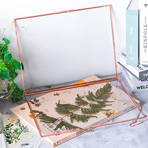 Ncyp 14.2X11Inches Hanging Glass Floating Frame For Artwork Certificate Photo Picture, Large Copper Ornament Plant Specimen Clip, Wall Vertical Decor Rose Gold Card Holder, Glass Frame Only #TOP7