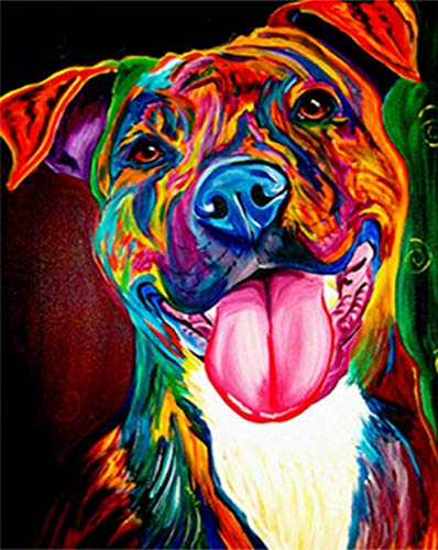 Kit peinture par numéros chien coloré, toile 40x50cm de bricolage peinture à l'huile