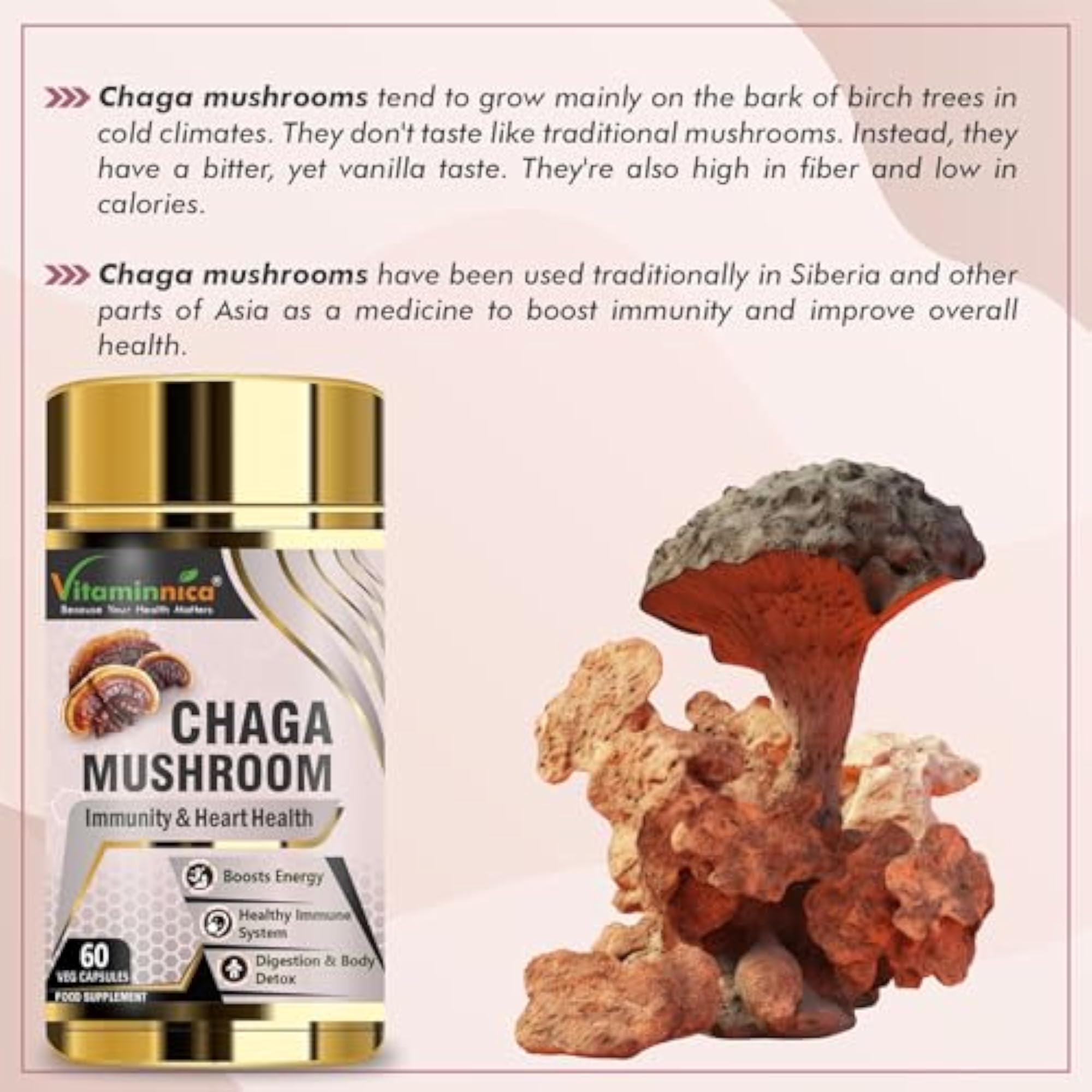 Chaga Mushroom Capsules, Natural Antioxidant Support