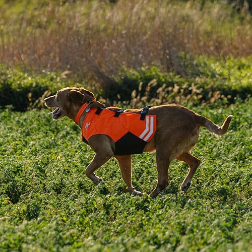 Browning Warnwesten für Hunde, hohe Sichtbarkeit, Orange, Größe L, vollständige Abdeckung