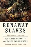 Runaway Slaves: Rebels on the Plantation