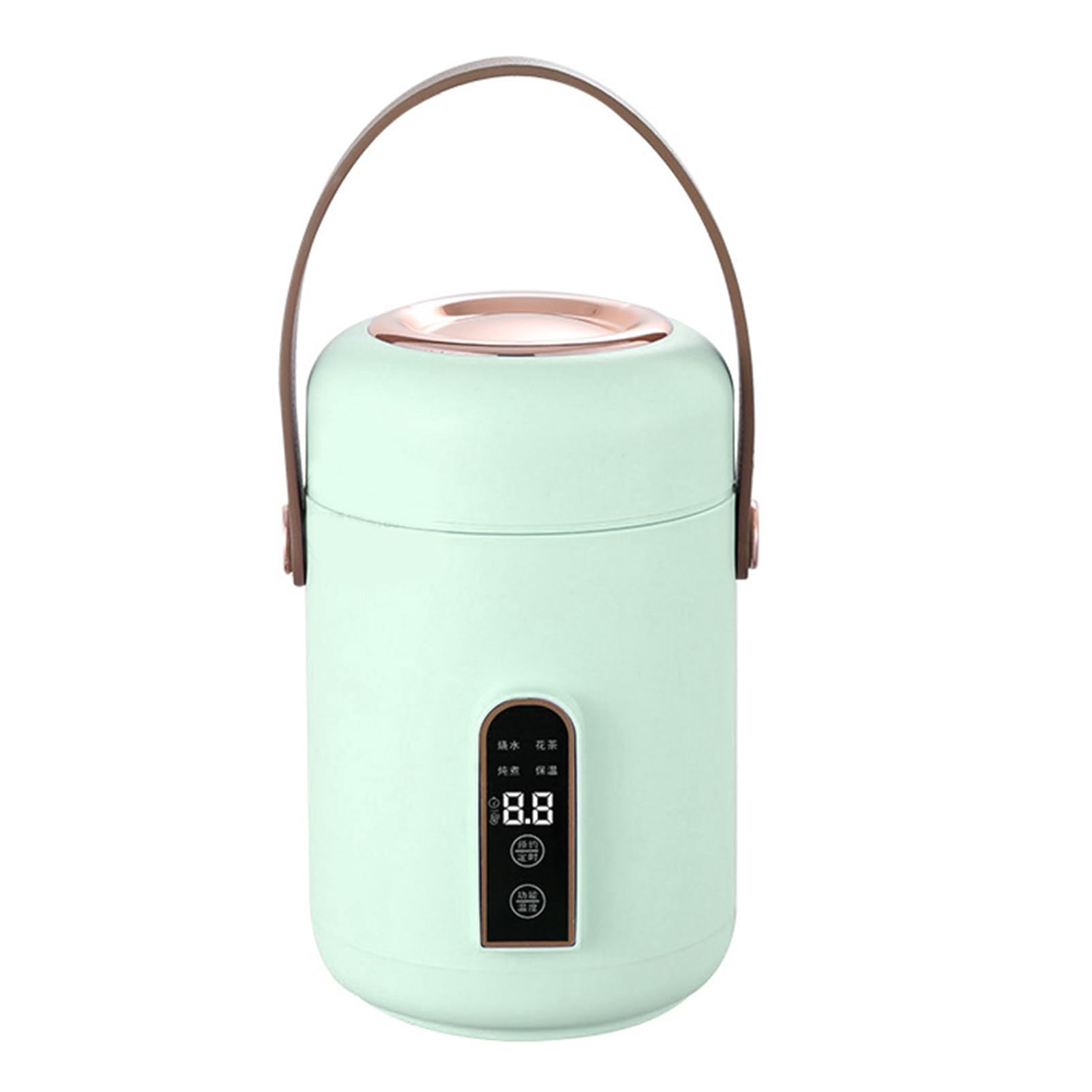 ANSNOW Efficient Heating Mini Rice Cooker, Insulated Portable Multifunction Soup Porridge Stewpot with Smart Reservation Function/Mint Green