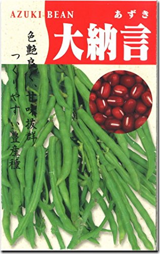 Amazon | あずき 種子 大納言 小豆 (60ml) | 野菜