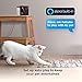 Petcube Play 2 Wi-Fi Pet Camera with Laser Toy for Cats & Dogs, 1080P HD Video, 160° Full-Room View, 2-Way Audio, Sound/Motion Alerts, Night Vision, Pet Monitoring App
