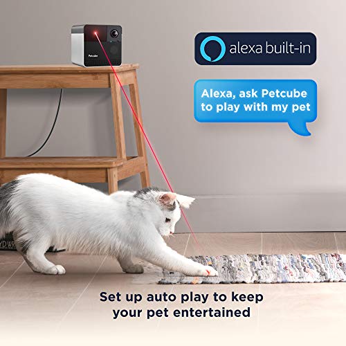 Petcube Play 2 Wi-Fi Pet Camera with Laser Toy & Alexa Built-In, for Cats & Dogs. 1080P HD Video, 160° Full-Room View, 2… - Image 3